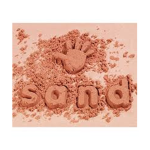 Sand Clan Council