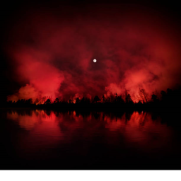 blood brothers iland