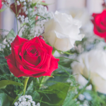 The wonderful rose group