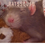 RatsSquad