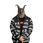 The anime club If you like anime join this club!