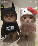 Los Tilines Clothing