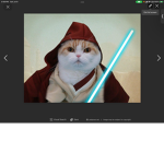 Starmeow