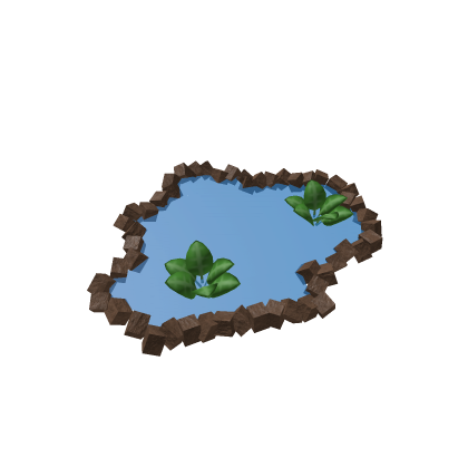 Small pond