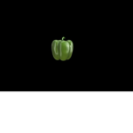 Bell pepper group