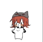 Arinko