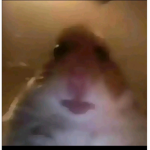 __(CHAMBER_OF_ SQUADS)__