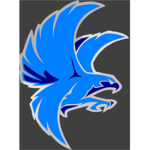 The Blue Falcons Fury