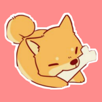 Young Doge Studios!
