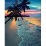 - x TROPICAL PARADISE x -