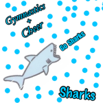 Team Sharks Gym