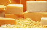 CHEESE AND MILK GANG