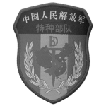 PLA Special Operations Forces | 中国人民解放军特种部队