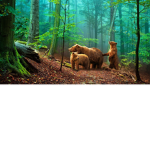 Camel Land