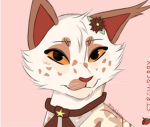 Kitty_cat_love
