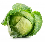 THE CABBAGE DIVISION
