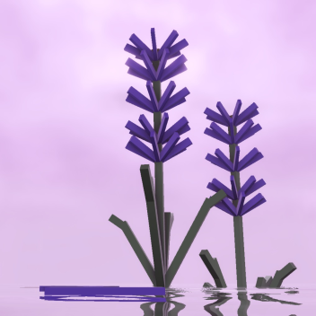 Lavender Waters [SHOWCASE]