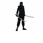 the ninja bros!