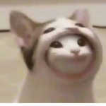 Gus lol ez