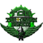 The Green Berets: Cadets