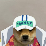 one piece doge