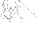 Sassy dog