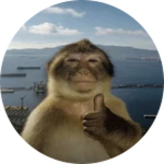 17/34