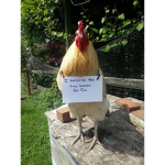 DeMOnIc ChIckEN FaN GroUp