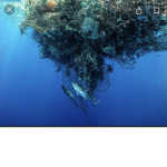 Help save the ocean