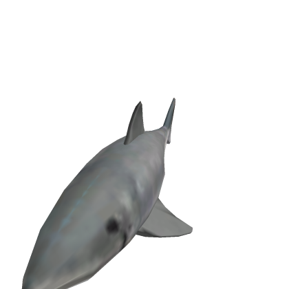 Shark