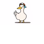 The Quack Division