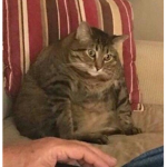 PhearPuf