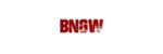 BNGW(Blood N Glory Wrestling)