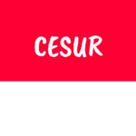 CESUR TEAM (OFFİCAL)