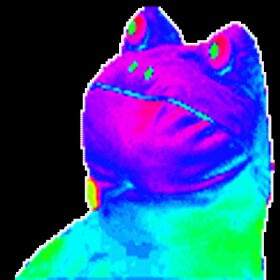 frog
