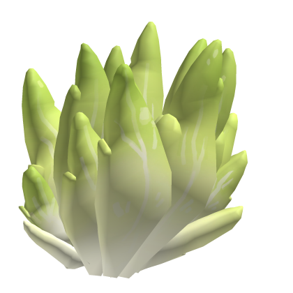 Lettuce Oc Tail