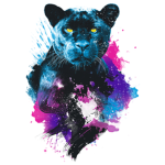 THE GALAXY PANTHERS