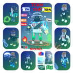 TEAM THE NINJAS