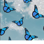BlueSkyezz Butterfly group