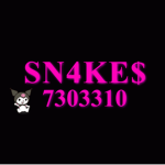 SN4KE$