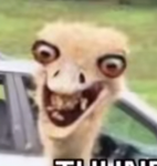 AnjyGivesRobux