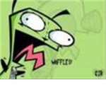 GIR fan's