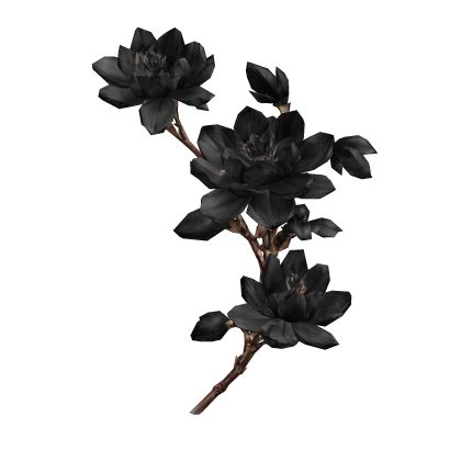 Black Cherry Blossom Flower Maximalist Branch