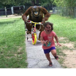 The Phantom Fans!