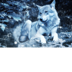 Winterworlds