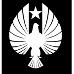 P.P.D.C.