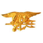 US Navy SEAIS