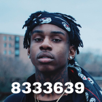 Kingkodak112 group