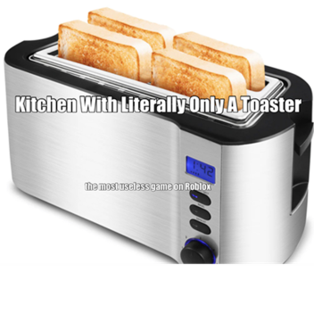 Kicthen With Literally Only A Toaster.