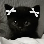 bæuty